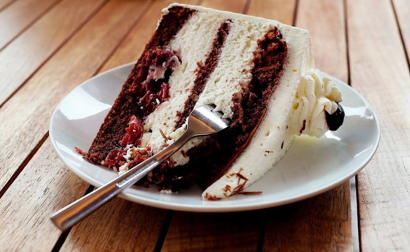 Chocolate Forest Floor Cake